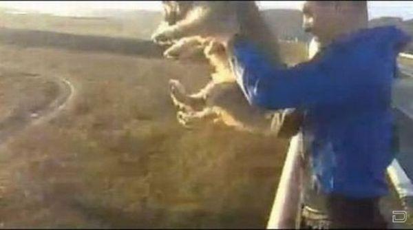 Арестовали Идиота, сбросившего собаку с моста (10 фото + видео)
