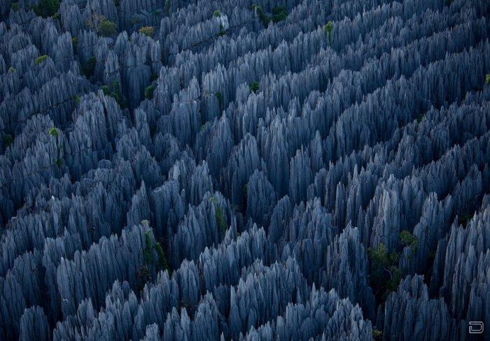 Каменный лес в заповеднике Цинги-де-Бемараха (15 фото)