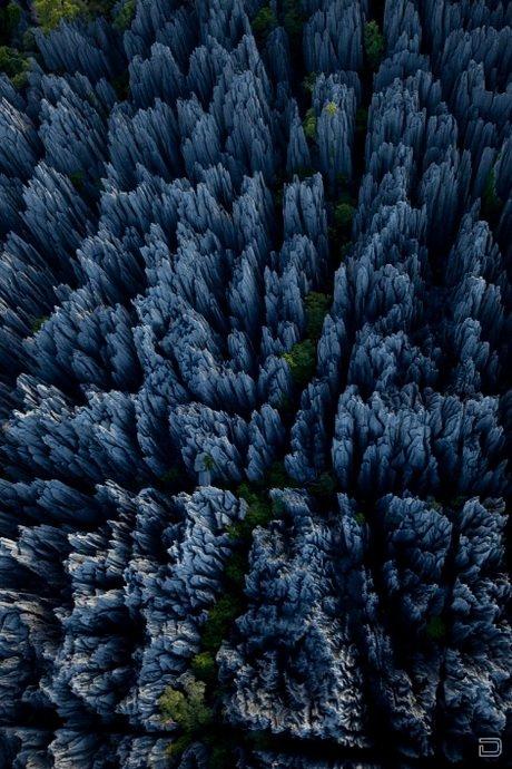 Каменный лес в заповеднике Цинги-де-Бемараха (15 фото)