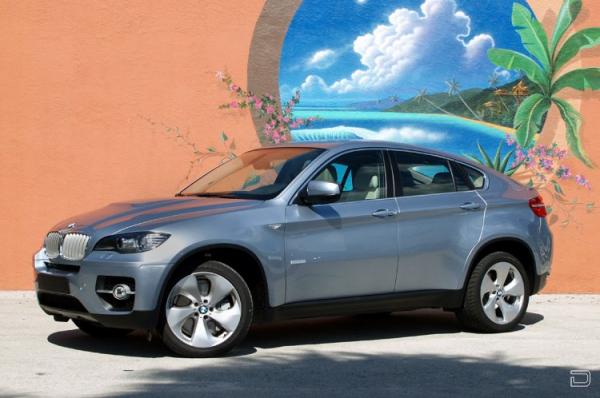 BMW X6 2010 (17 )