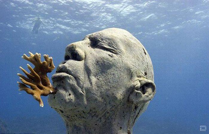 Самый большой подводный музей скульптур в мире (14 фото)
