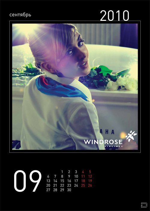    WINDROSE (14 )