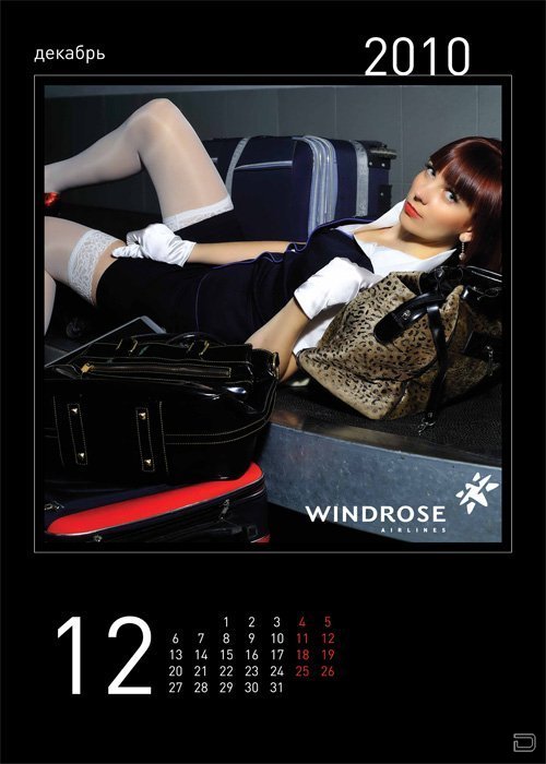 Сексуальные стюардессы авиакомпании WINDROSE (14 фото)