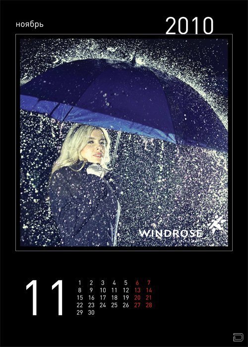    WINDROSE (14 )