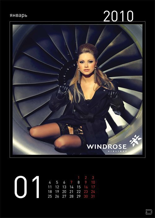    WINDROSE (14 )