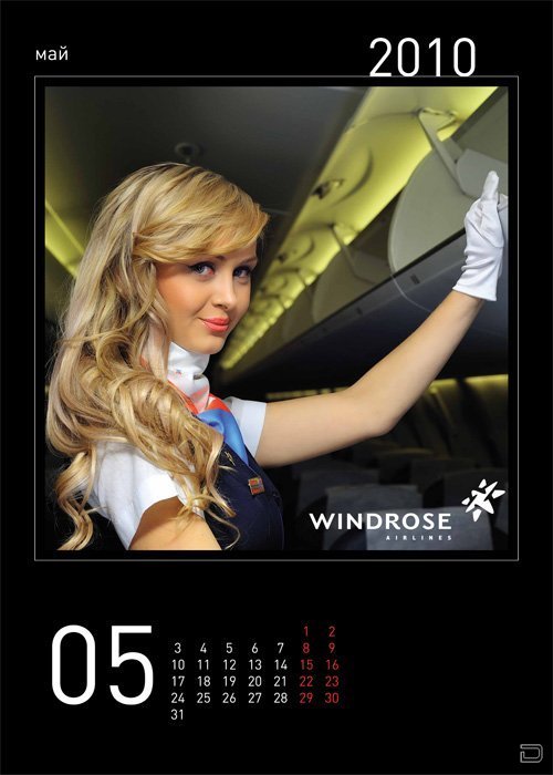    WINDROSE (14 )