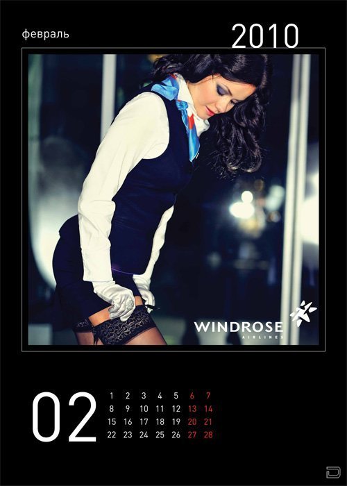    WINDROSE (14 )