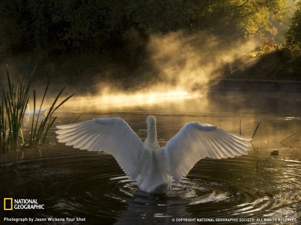     National Geographic (18 )