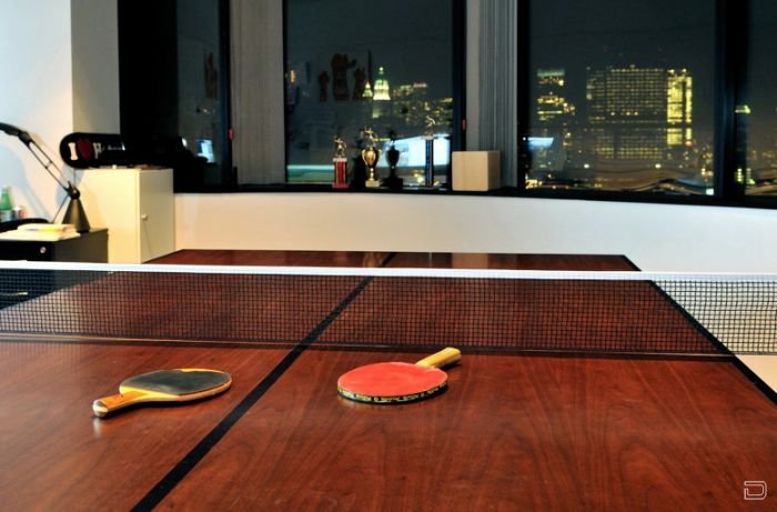 Отличный стол для настольного тенниса (10 фото)
