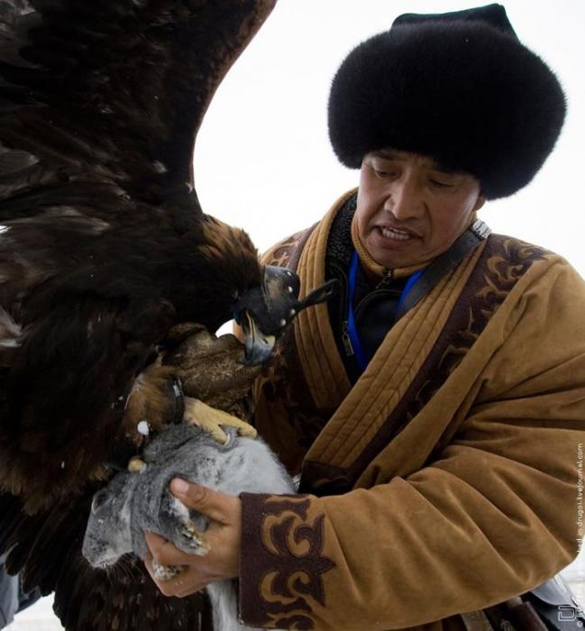 Охота в Казахстане (9 фото)