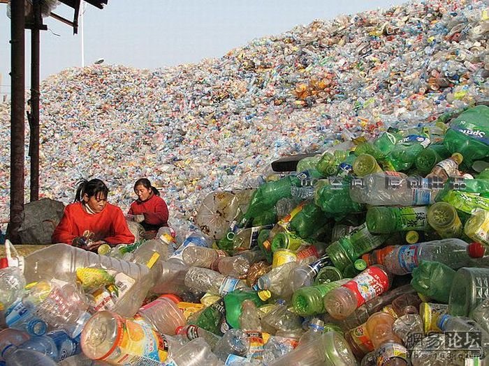 Горы пластиковых бутылок (9 фото)