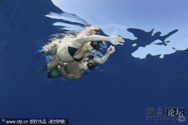 Беременные женщины и дельфины (5 фото)