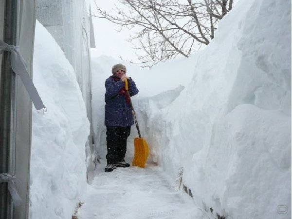 Жизнь под снегом (15 фото)