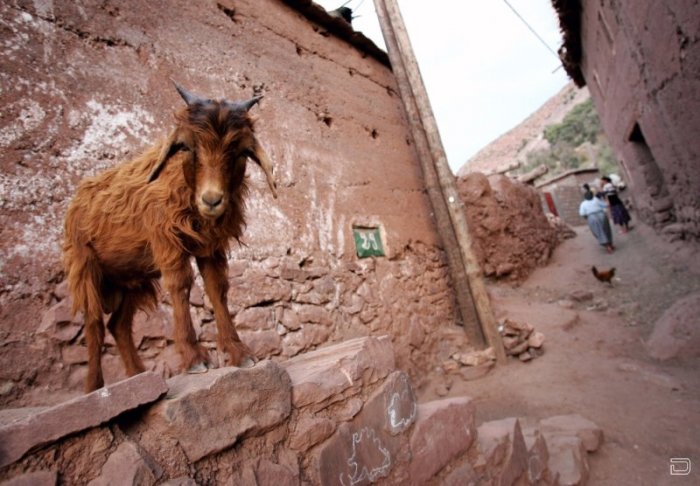 Фотоподборка жизни в Марокко (22 фото)