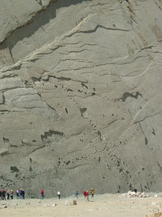 Уникальная стена со следами динозавров (5 фото)