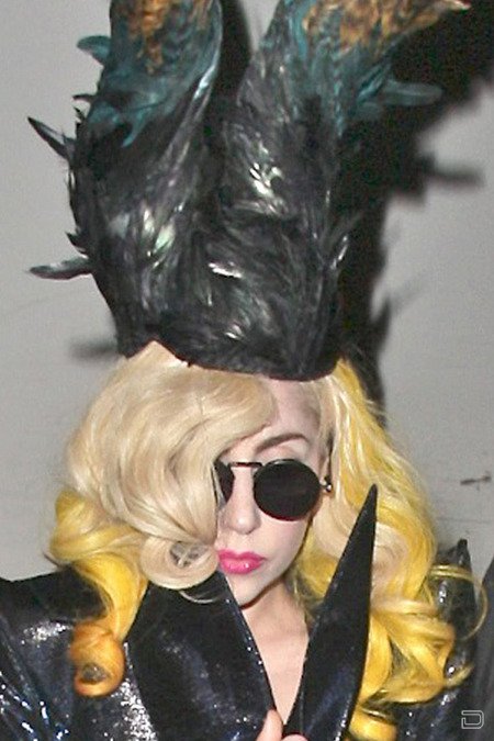   Lady GaGa (8 )