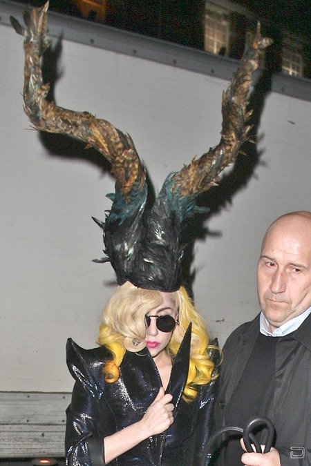   Lady GaGa (8 )