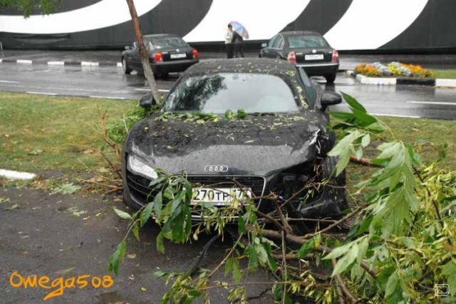 Audi R8 против дерева (14 фото)