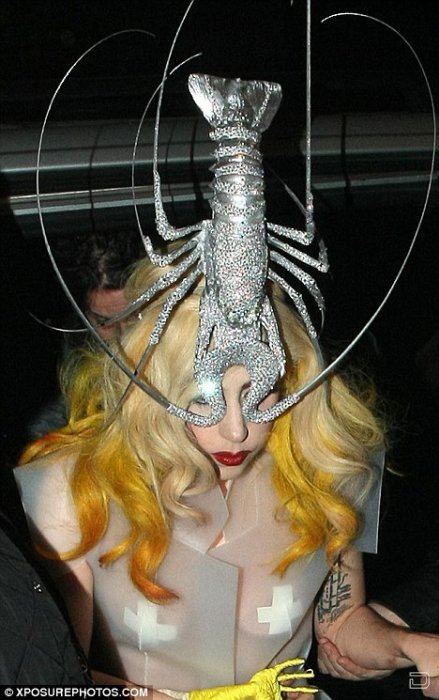    Lady GaGa    (8 )