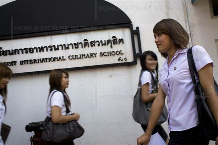 Университет для транссексуалов в Таиланде