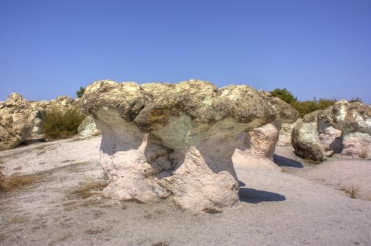 Каменные грибочки после каменного дождика? (11 фото)