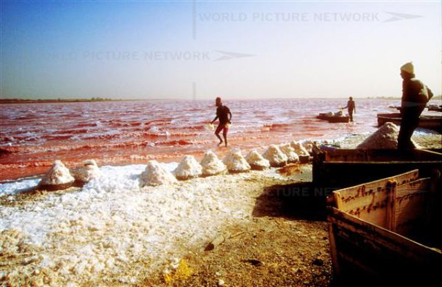 Необычное розовое озеро в Сенегале (20 фото)