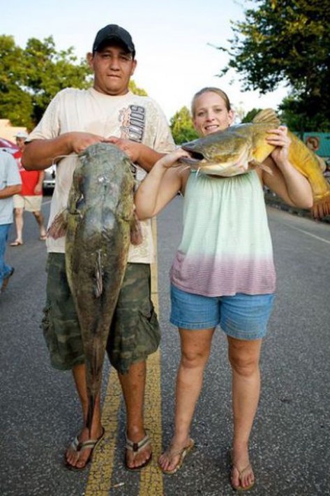 Необычный турнир: Рыбалка на сома с голыми руками (30 фото)