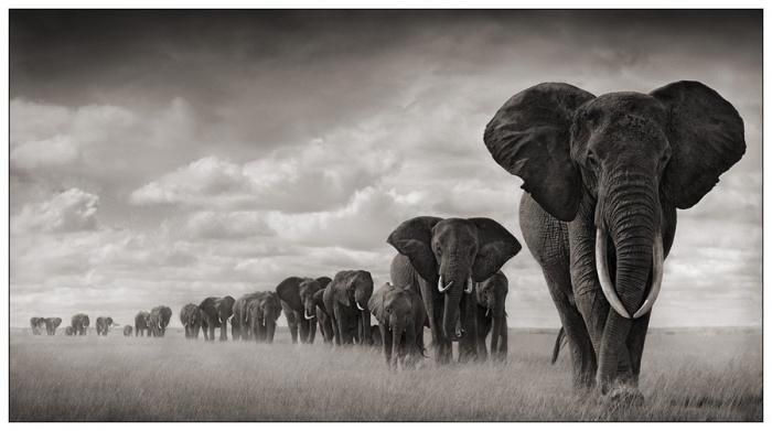 Подборка черно-белых фотографий Африки (25 фото)