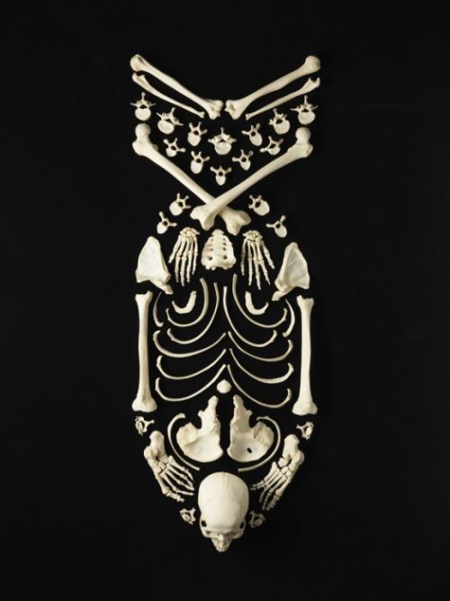 Предметы искусства из настоящих человеческих костей (12 фото)