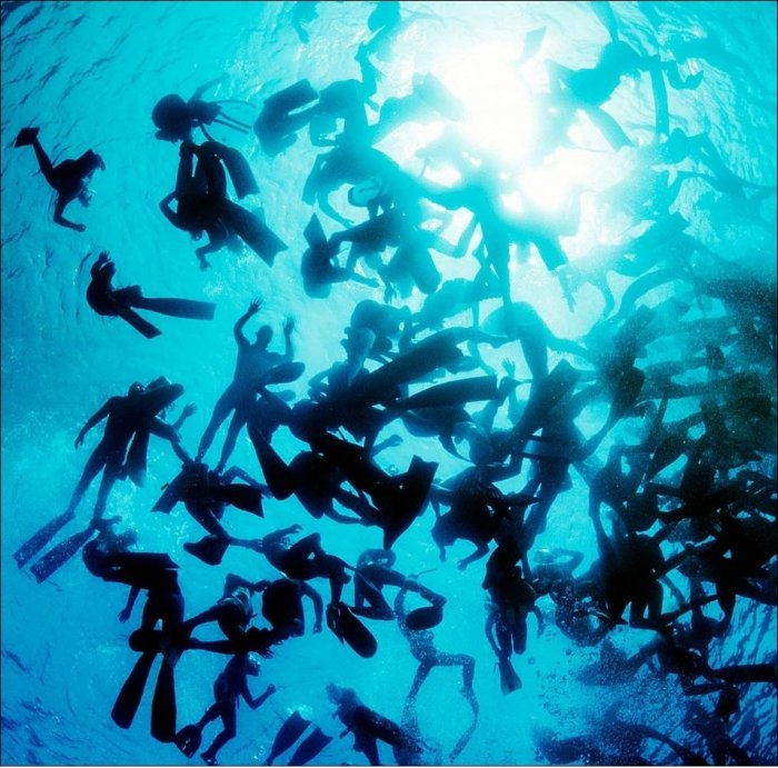 Фантастические подводные фотографии