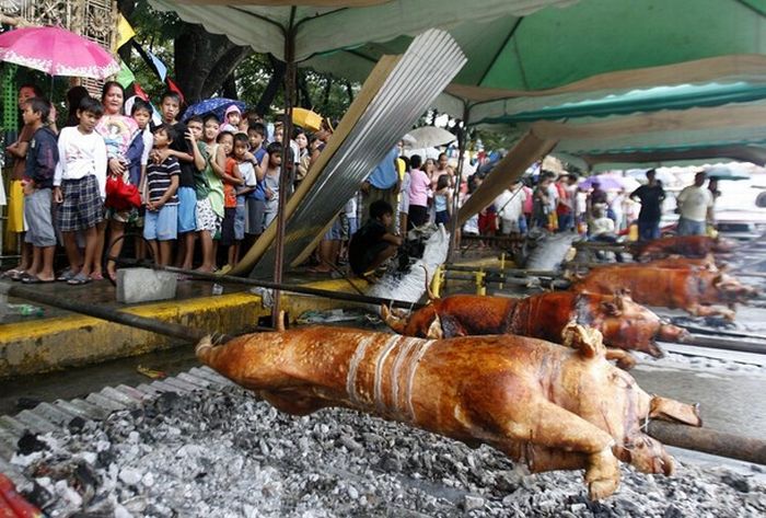      - Parada ng Lechon