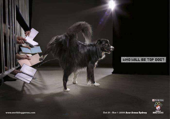 Подборка лучших рекламных принтов с собаками (33 фото)