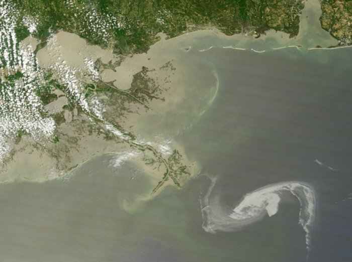 Разлив нефти в Мексиканском заливе (31 фото)