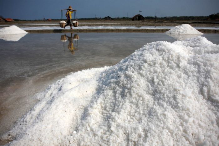 Добыча соли в Индии и Индонезии (28 фото)