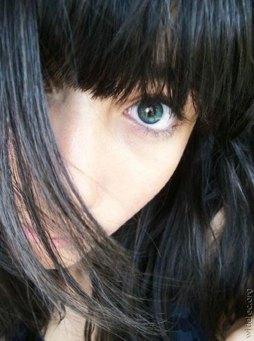   (65 )