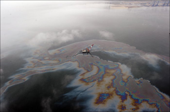 Разлив нефти в Далянь (30 фото)