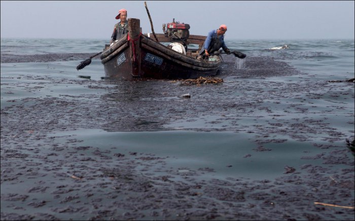 Даляньский залив очищают от нефти (38 фото)