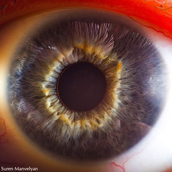 Удивительная макросъемка глаза (8 фото)