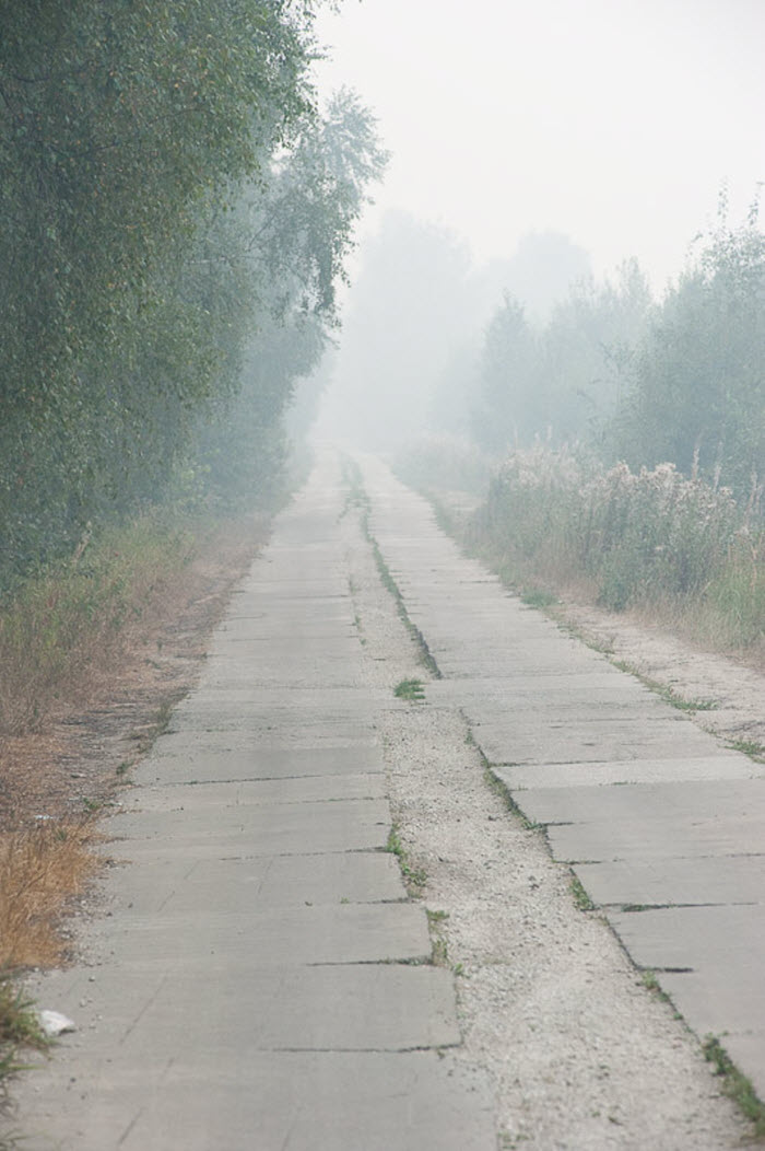 Москва накрыта пеленой дыма (35 фото)