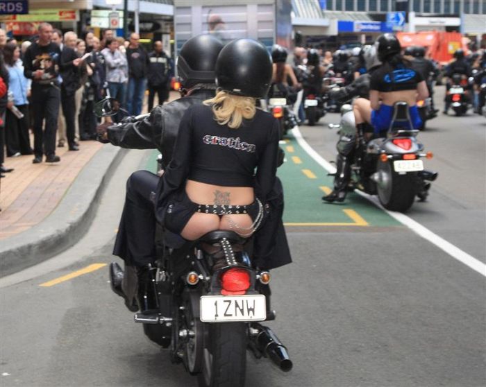   "Boobs on Bikes 2010"   (15 )