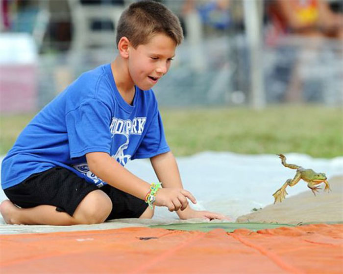 Традиционный фестиваль летающих лягушек в Огайо (15 фото)