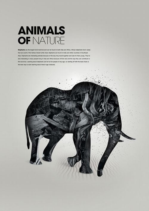 Прикольные рисунки животных (26 фото)
