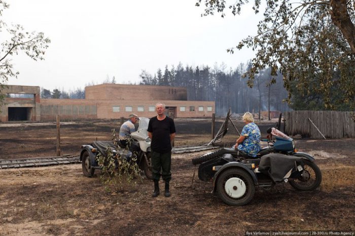 Московская область борется с пожарами (61 фото)