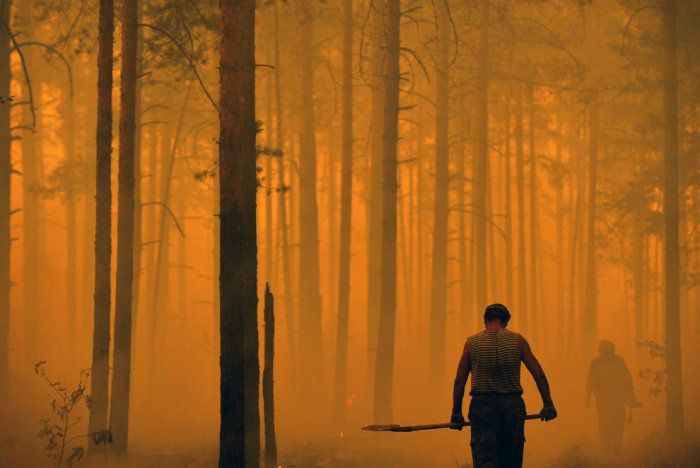 Лесные пожары в России