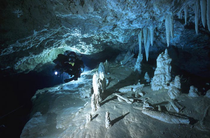 Дайвинг в пещерах (15 фото)