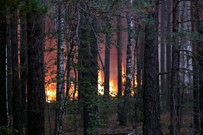 На тушении лесного пожара (83 фото)