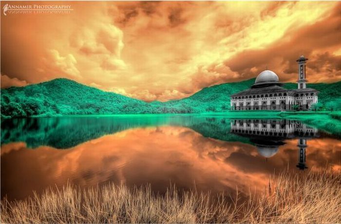  HDR  (47 )
