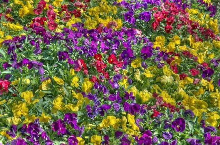  HDR  (47 )