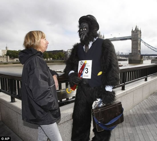 Забег горилл в Лондоне (9 фото)