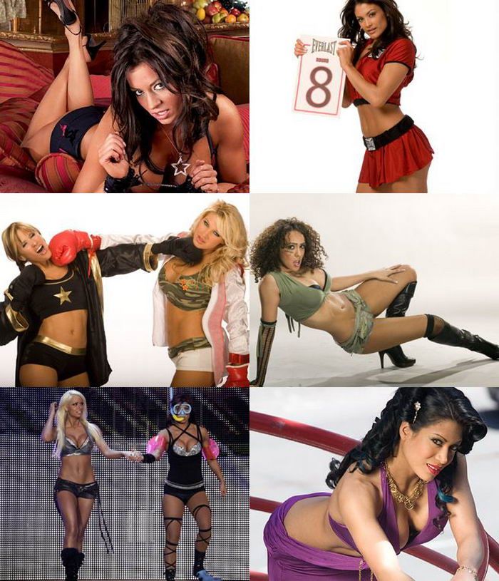 Женские бои из серии WWE